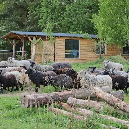 Holiday home Earthship *