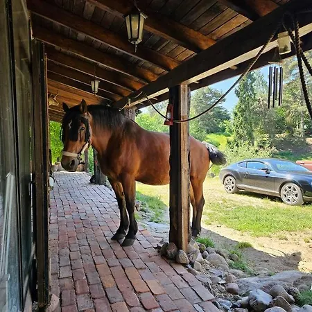 度假居 Earthship
